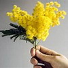 8 Marzo-Festa della donna-Concerto per pianoforte a quattro mani
