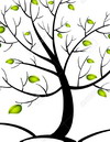 I cicli vitali della famiglia