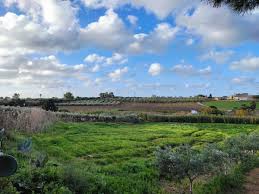 Immagine riferita a: Rebellamentum o congiura organizzata dai baroni siciliani?